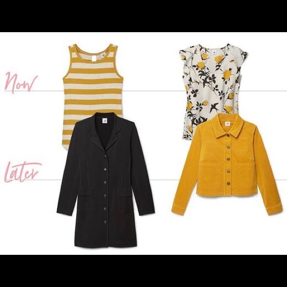 NWT birdwatcher top - Picture 4 of 4